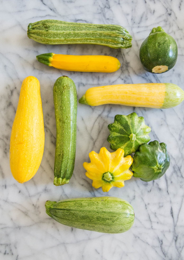 What to Plant Summer Squash Each Green Corner