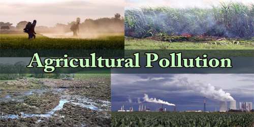 agricultural pollution essay