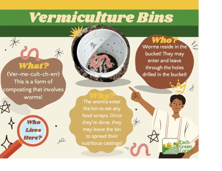 Vermiculture Bins Each Green Corner