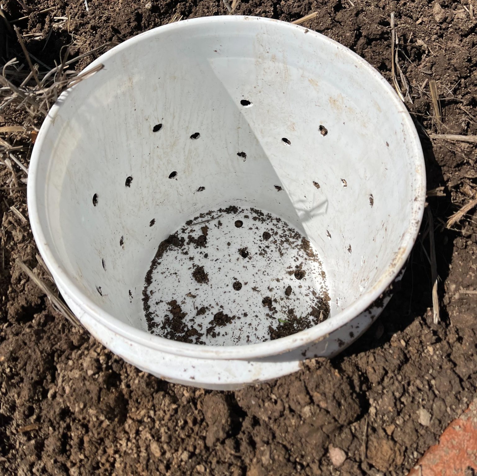 Vermiculture Bins Each Green Corner