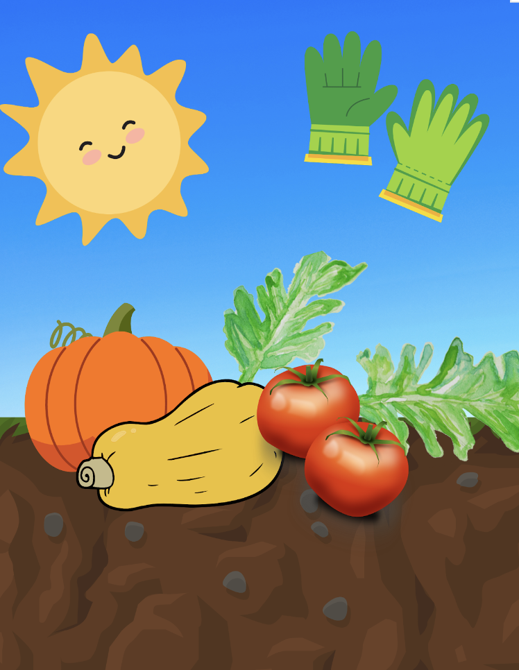 Gardening Tips How Much Sun do Summer Veggies Need? Each Green Corner