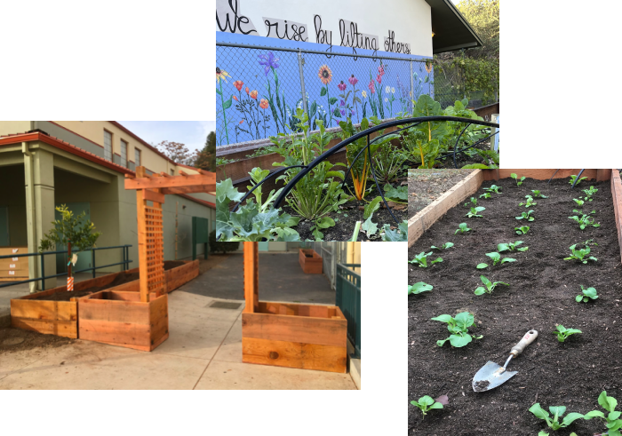EGC three main projects example, including school sites, residential garden, and seedling starter