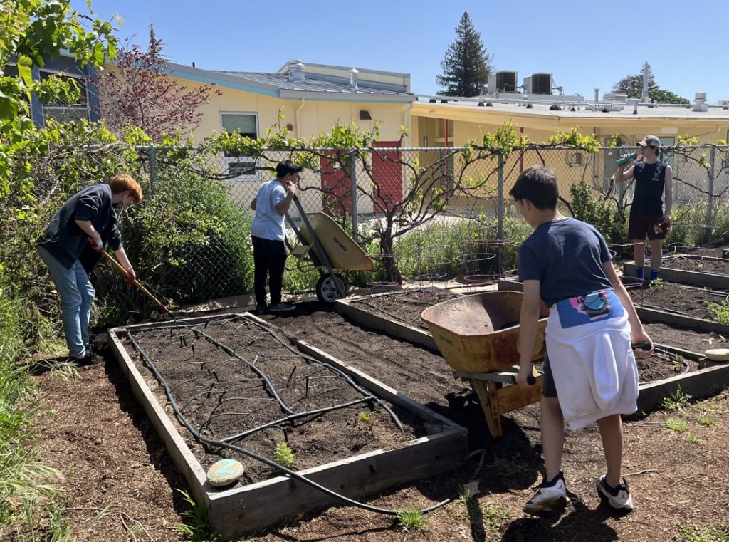 Volunteers are maintaining the garden stewards