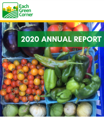 2020 Annual Report Cover
