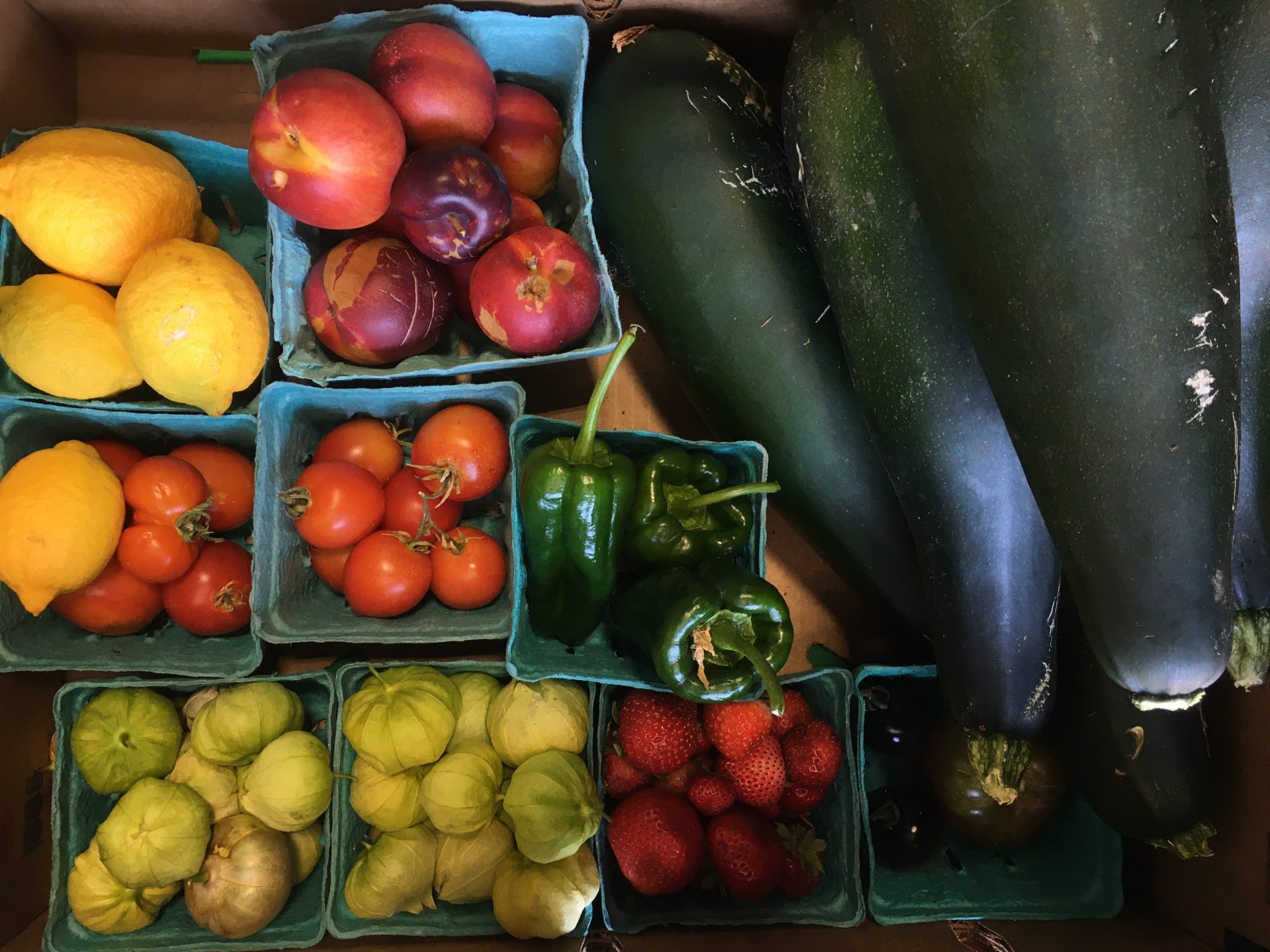 The Truth About Calfresh: Use This Calculator To Learn More! - dkm5jeo