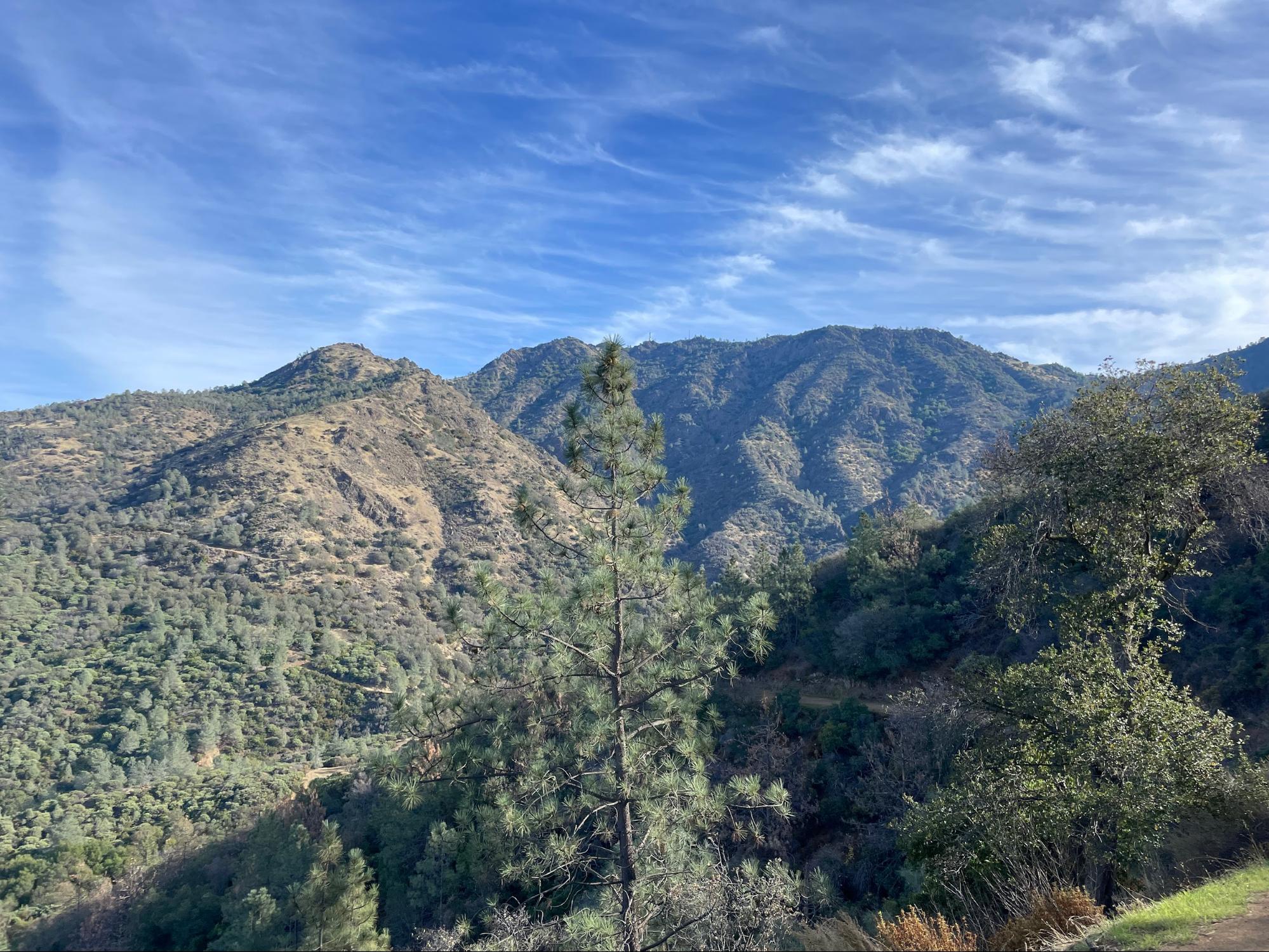 nature