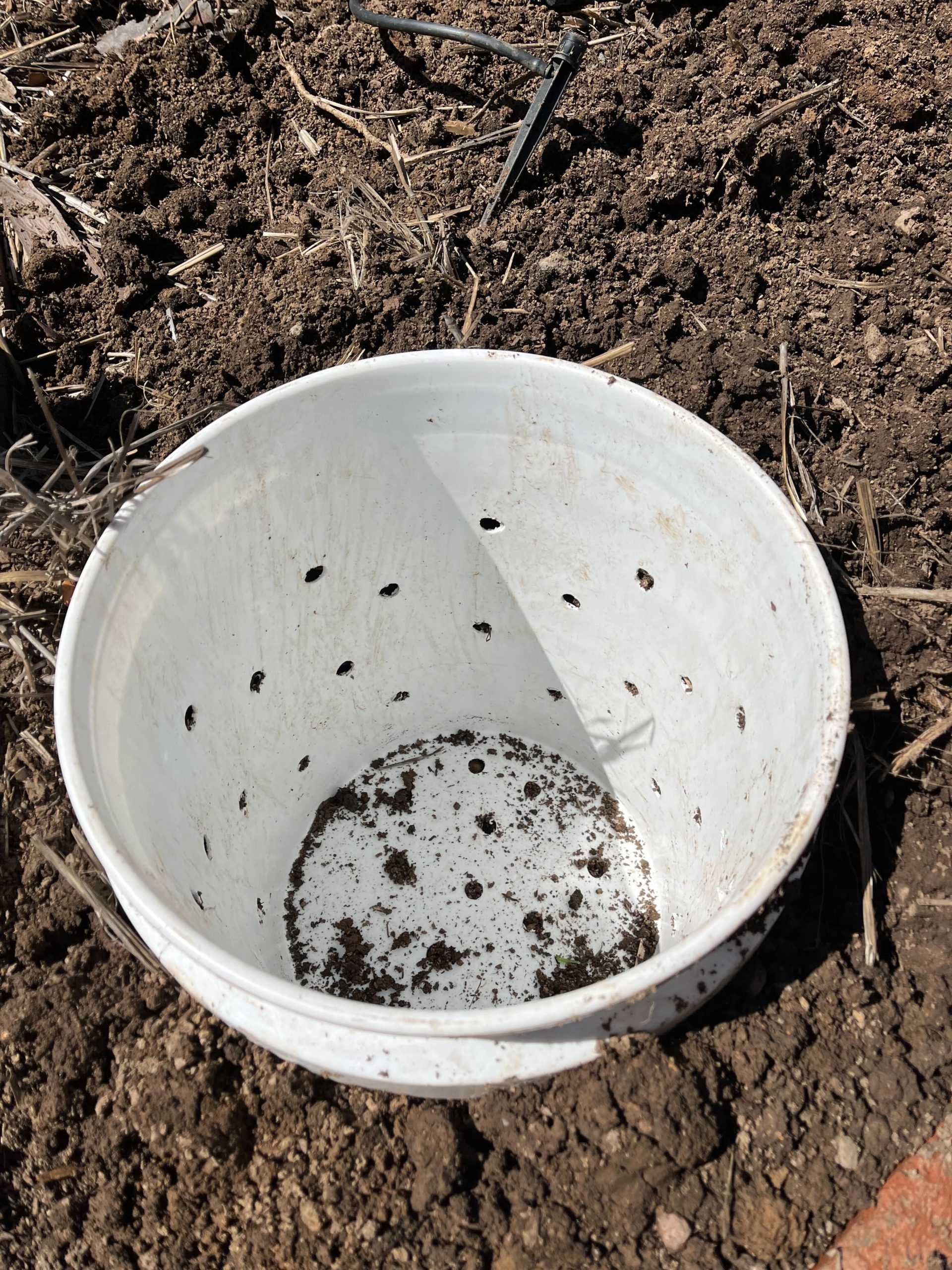 Vermiculture Bins Each Green Corner