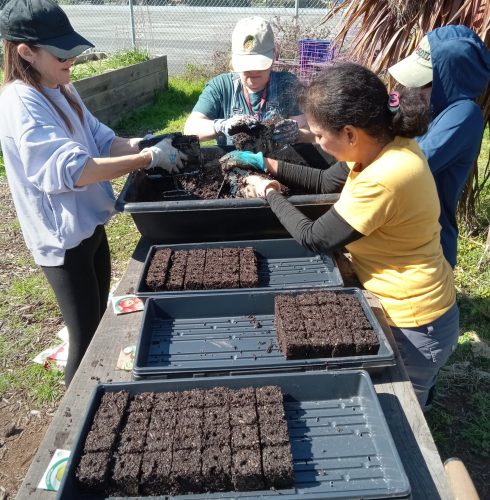 Arroyo Upper Elementary