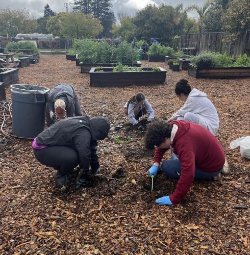 Hillsdale High School